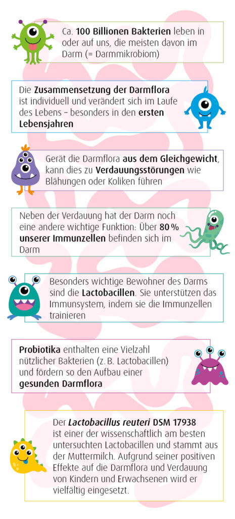 Infografik kindliche Darmflora