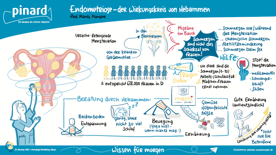 Graphic Recording des Vortrags von Prof. Mandy Mangler zum Thema "Endometriose – der Wirkungskreis von Hebammen". Die Visualisierung erklärt die Ursachen und Symptome der Krankheit und zeigt auf, wie Hebammen durch gezielte Beratung zu Ernährung, Bewegung und Entspannung die Lebensqualität der Betroffenen verbessern können.