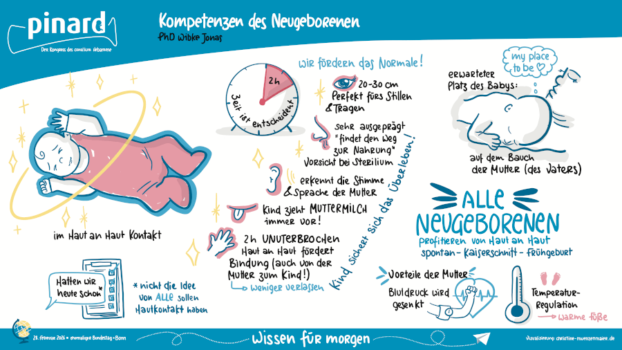 Graphic Recording des Vortrags von PhD Wibke Jonas über die "Kompetenzen des Neugeborenen". Die Visualisierung zeigt die angeborenen Fähigkeiten eines Babys wie Sehen, Riechen und Hören und hebt die entscheidende Bedeutung von ununterbrochenem Haut-an-Haut-Kontakt für die Bindung, das Stillen und die Gesundheit von Mutter und Kind hervor.