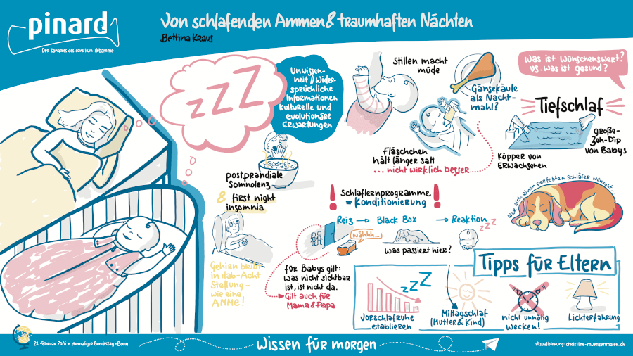 Graphic Recording des Vortrags von Bettina Kraus über Babyschlaf. Die Visualisierung erklärt biologische und evolutionäre Grundlagen des kindlichen Schlafverhaltens, kritisiert starre Schlaflernprogramme und gibt sanfte, bindungsorientierte Tipps für Eltern zur Etablierung einer gesunden Schlafumgebung.